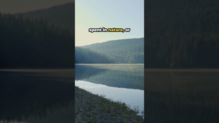 Finding God in the Quiet Moments – Jeremiah 29 13 | Bible 101 Devotional