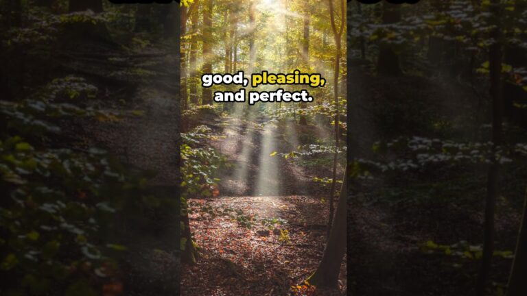 Transform Your Mind – Embracing Gods Will | Bible 101 Daily – Devotional BGodInspired