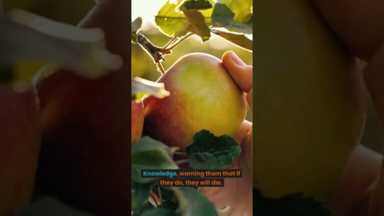 Tree of Good and Evil – #short Bible Study