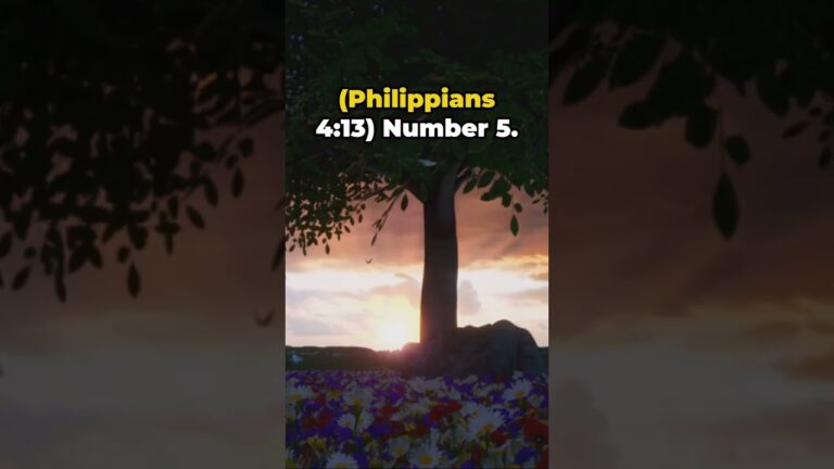 Forgiveness – Your Path to Hope and Healing | Bible 101 Devotional