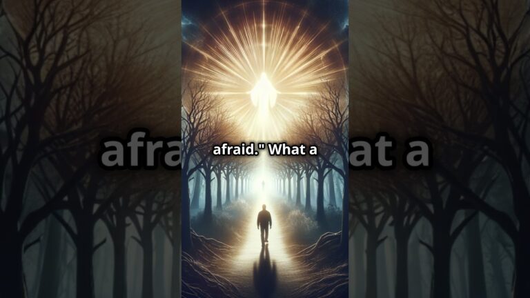 The Divine Promise of Peace – A Spiritual Reflection | Bible 101 Devotional