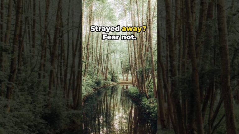 Hope and Redemption – Luke 15 11 Meaning for Today – Prodigal’s Journey | Bible 101 Devotional