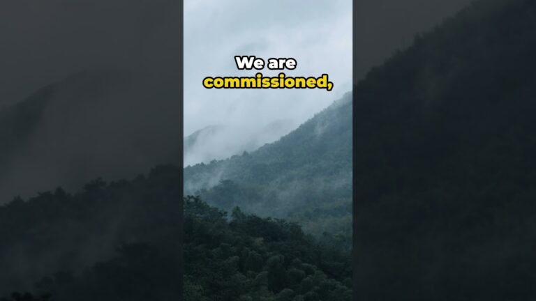 The Great Commission – A Message from Matthew 28:16 20 Explained | Bible 101 Devotional