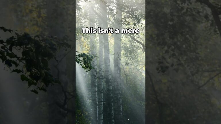 The Promise of the Holy Spirit – Acts 2 1 4 Explained | Bible 101 Devotional