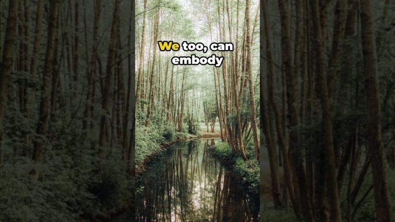 Hope in John 18 1 11 Meaning – Stand Firm with Jesus | Bible 101 Devotional