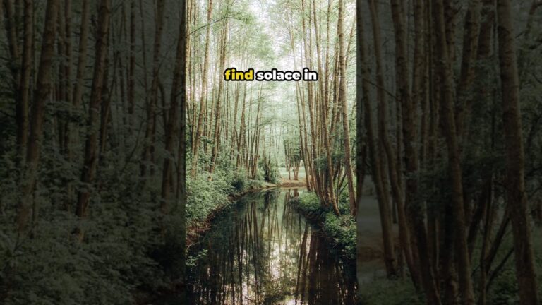 Hope in Luke 23:33 – A Journey of Faith – even on the Cross | Bible 101 Devotional