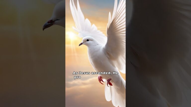 What Does the Ascension of Jesus Mean for Our Lives | Bible 101 Devotional