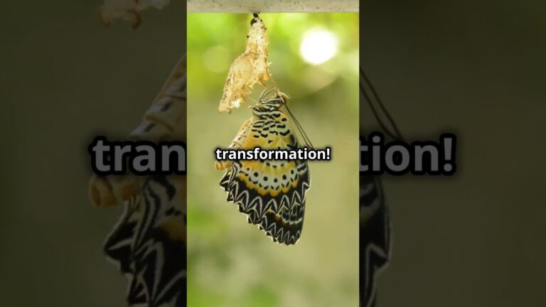 Overcoming Sin – A Journey of Transformation with the Holy Spirit #faith #struggle