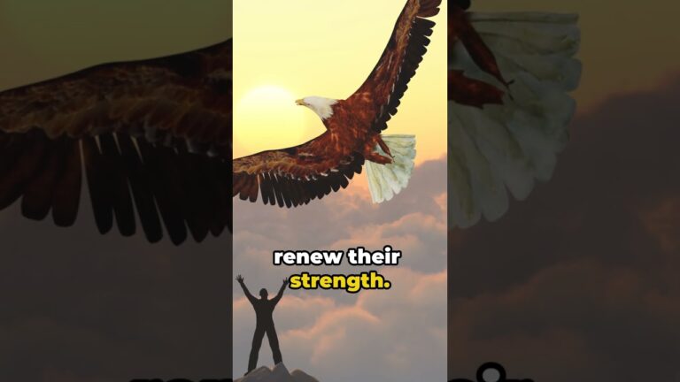 Spiritual Fortitude – Unleashing Divine Strength – Exploring Isaiah 40:31 | Bible 101 Devotional