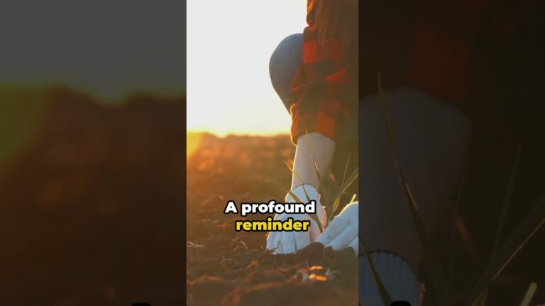 Blessed are the Meek – A Matthew 5:5 Interpretation | Bible 101 Devotional