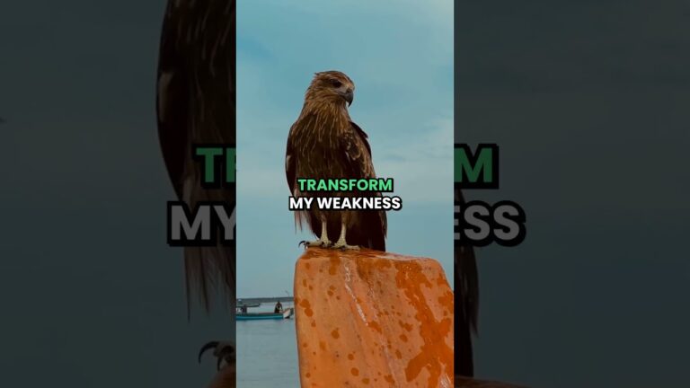 Prayer for Strength | Fill My Weary Bones