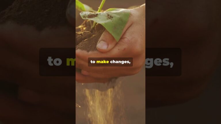 Prayer for Environmental Conservation