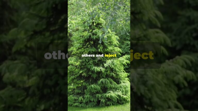 Unpacking the True Meaning of Scornfully!