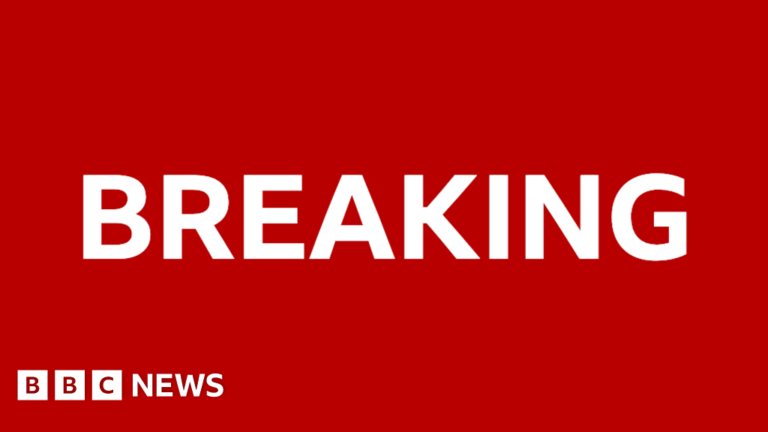 Twelve injured in knife attack at Hamburg train station