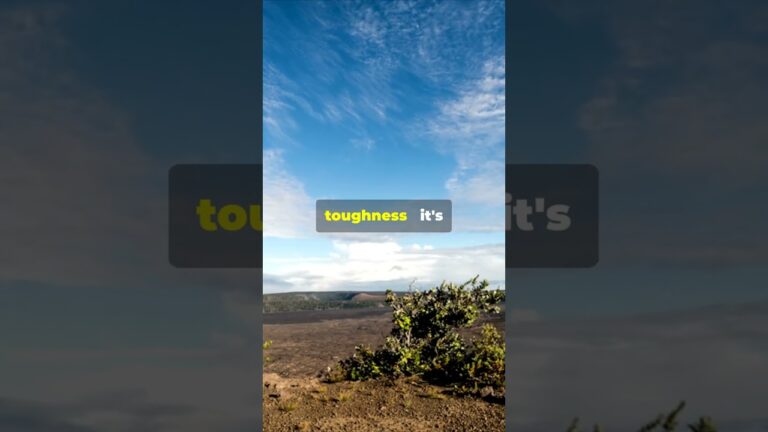 Bible Verses About Strength: The Power You Need When Life Gets Real