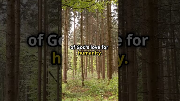 Books of the Bible | The Epic Story That Changed the World Forever!