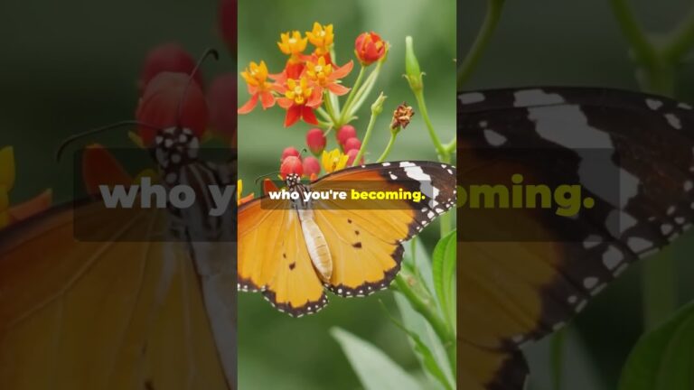 Salvation Meaning | More Than Just a Ticket to Heaven!