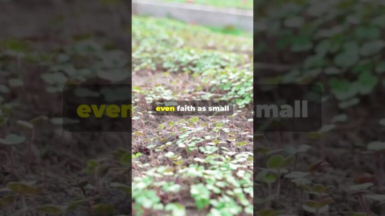 The Meaning of Rebuking | How to Command with Spiritual Authority!