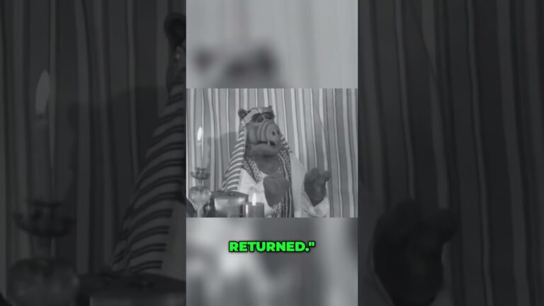 ALF: Arabian Sheik’s Oasis-The Craziest Harem Ever?