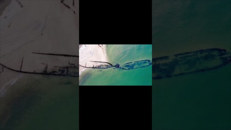 The Torpedo That Almost Sank Johnny Carson.