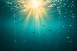 Earth's Oceans Are Running Out of Oxygen, Scientists Warn