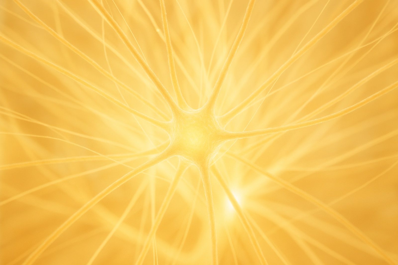 Scientists Found Brain Cells That Block Distraction