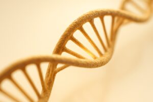 AI Decoded the DNA Initiator: The Mark That Tells a Cell Where to Begin
