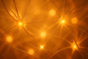 Scientists Found the Brain Cells That Make Loneliness Unbearable