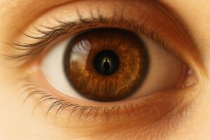 Apple of My Eye Meaning: The Little Man in the Eye