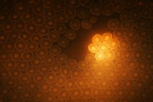 Death-Resistant Cells: The Ones That Almost Died Rebuilt the Tissue