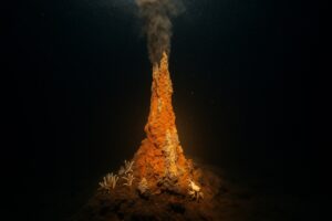 How a Deep-Sea Microbe Survives Heat Near Boiling Point