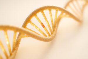 Eight-Letter DNA: The Enzyme Nobody Had to Teach
