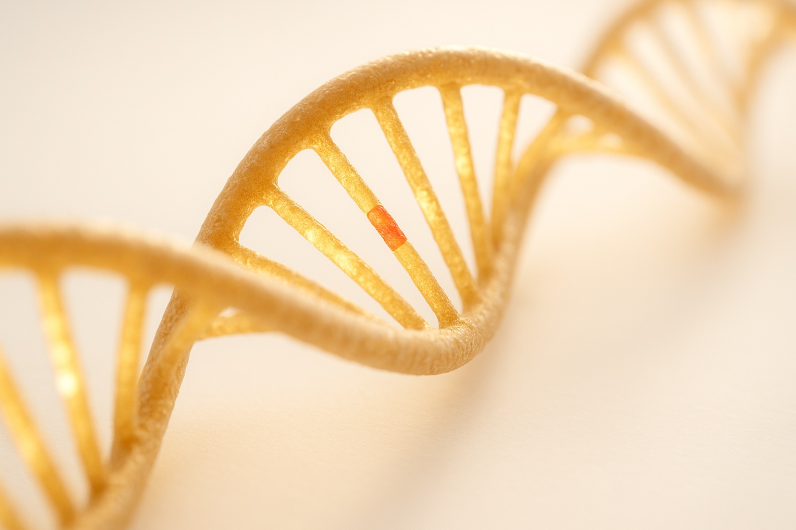 Eight-Letter DNA: The Enzyme Nobody Had to Teach