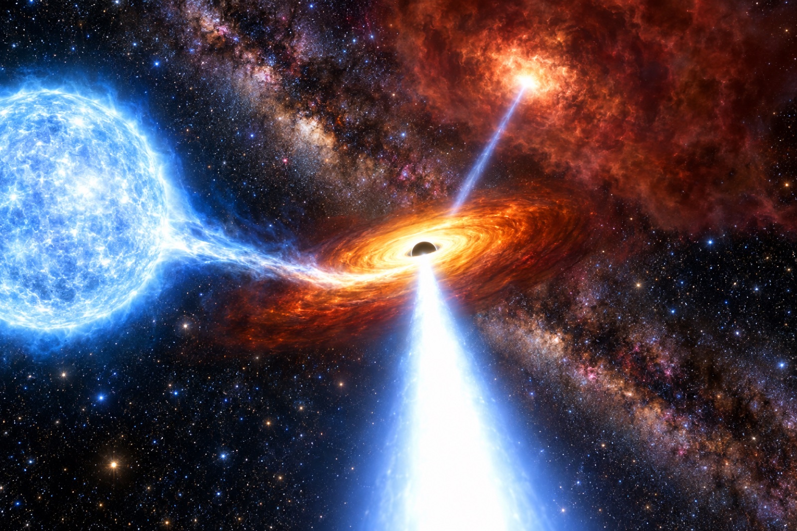 First Microblazar in Our Galaxy: A Black Hole Aimed at Us