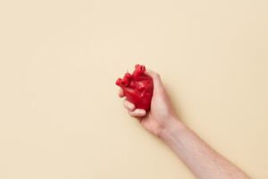 A hand holding a red anatomical heart against a warm cream background