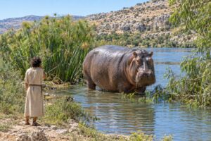 What Is Behemoth in the Bible? God Spoke Again After Job Gave Up