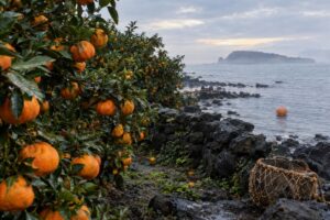 When Life Gives You Tangerines: The Ending Explained