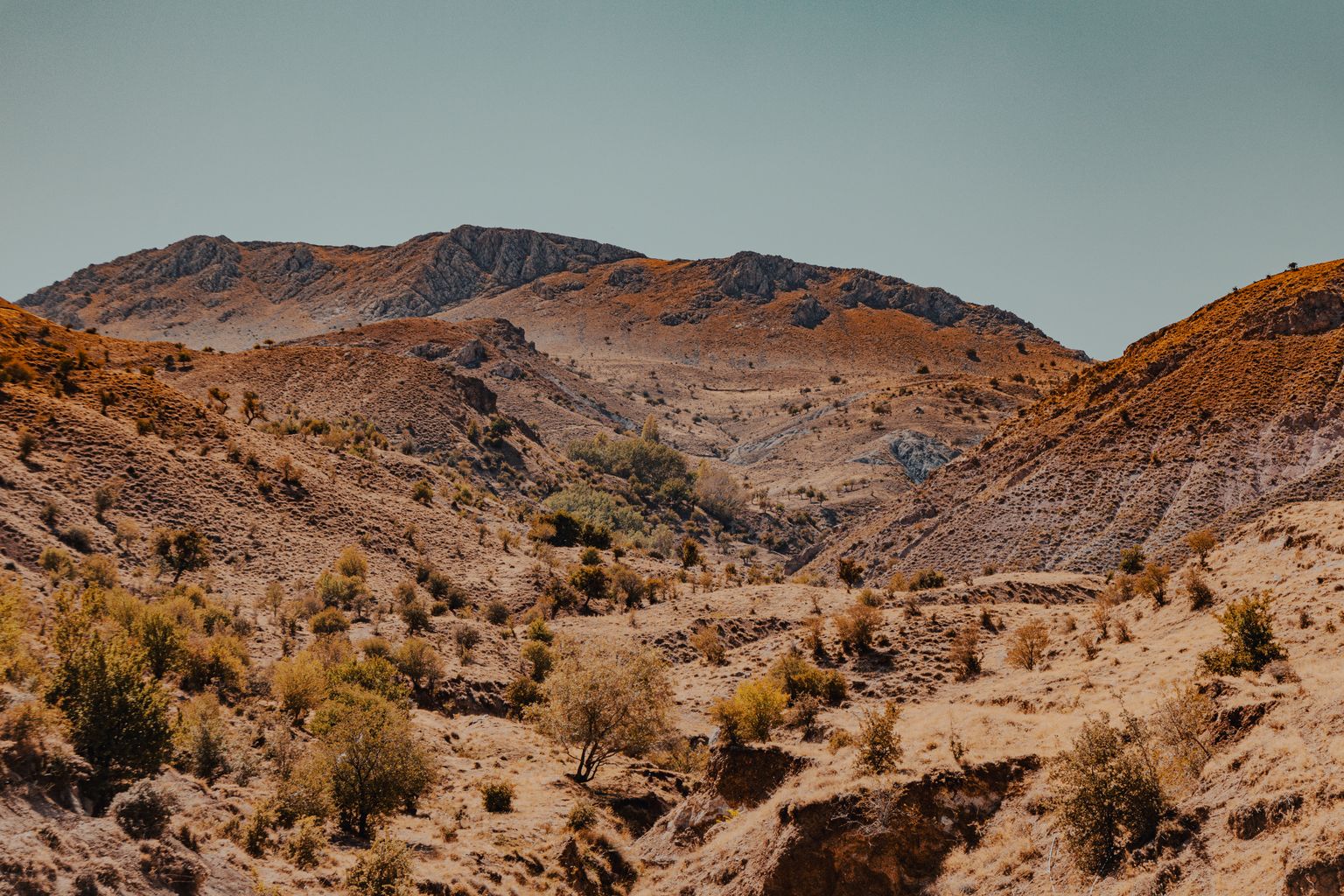 Who Was Caleb in the Bible? The Man Who Asked for the Mountain